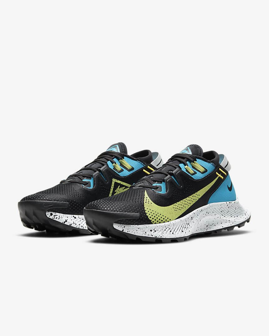 Nike Pegasus Trail 2