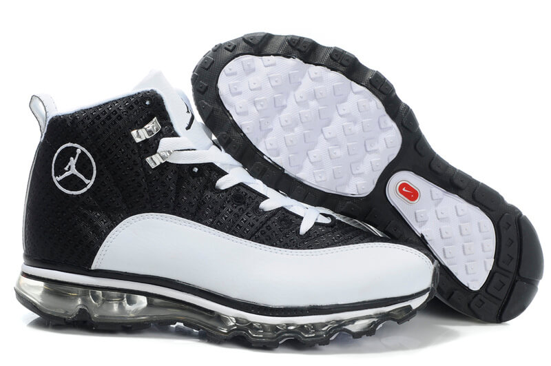 Air Jordan 12 Max 2011