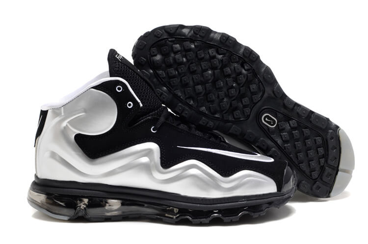 Air Max Fly By 2011